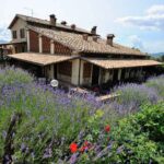 offerte agriturismo con piscina e ristorante in umbria