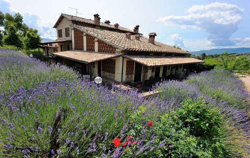 offerte agriturismo con piscina e ristorante in umbria