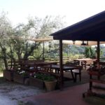 agriturismo con appartamenti e piscina perugia