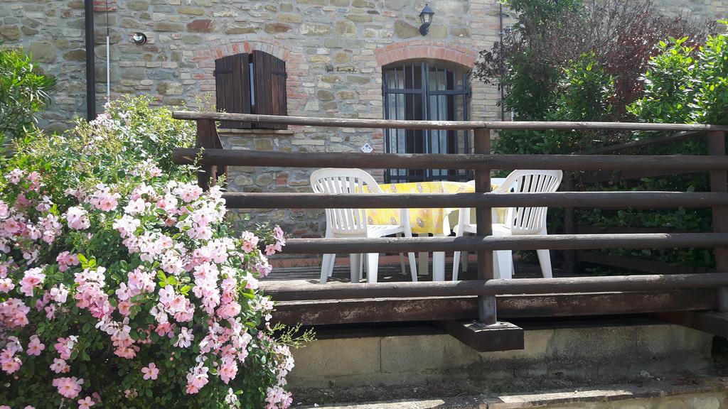 agriturismo con appartamenti e piscina todi